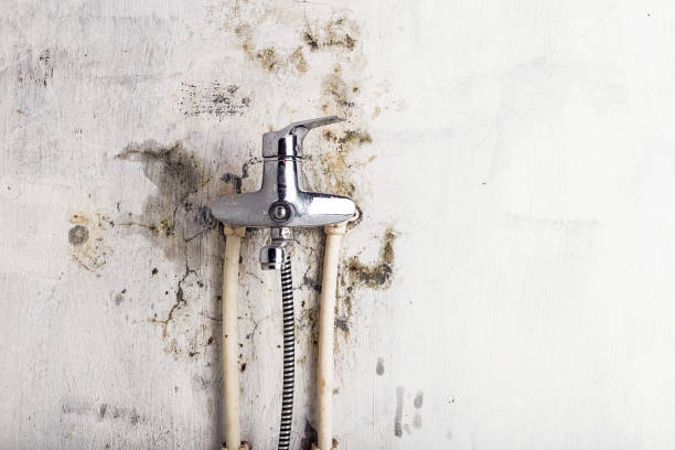 Mold Removal Process in Corinth, TX