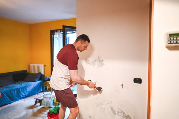Best Local Mold Removal Service  in Corinth, TX