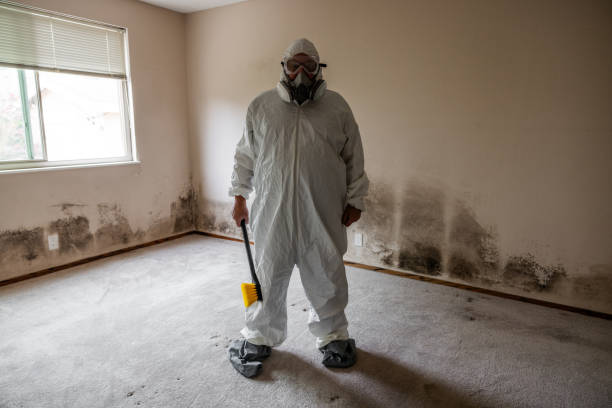 Attic Mold Removal in Corinth, TX